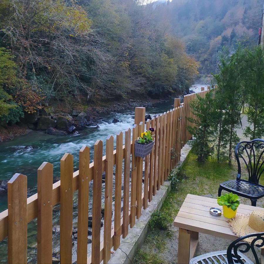 Dream River Exclusive Bungalow Ριζούντα Εξωτερικό φωτογραφία