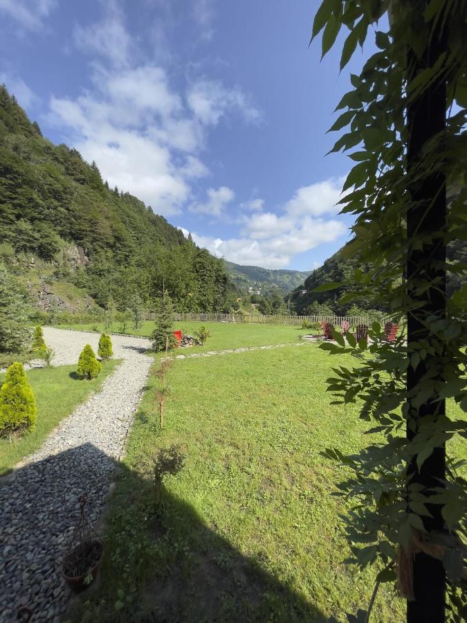Dream River Exclusive Bungalow Ριζούντα Εξωτερικό φωτογραφία
