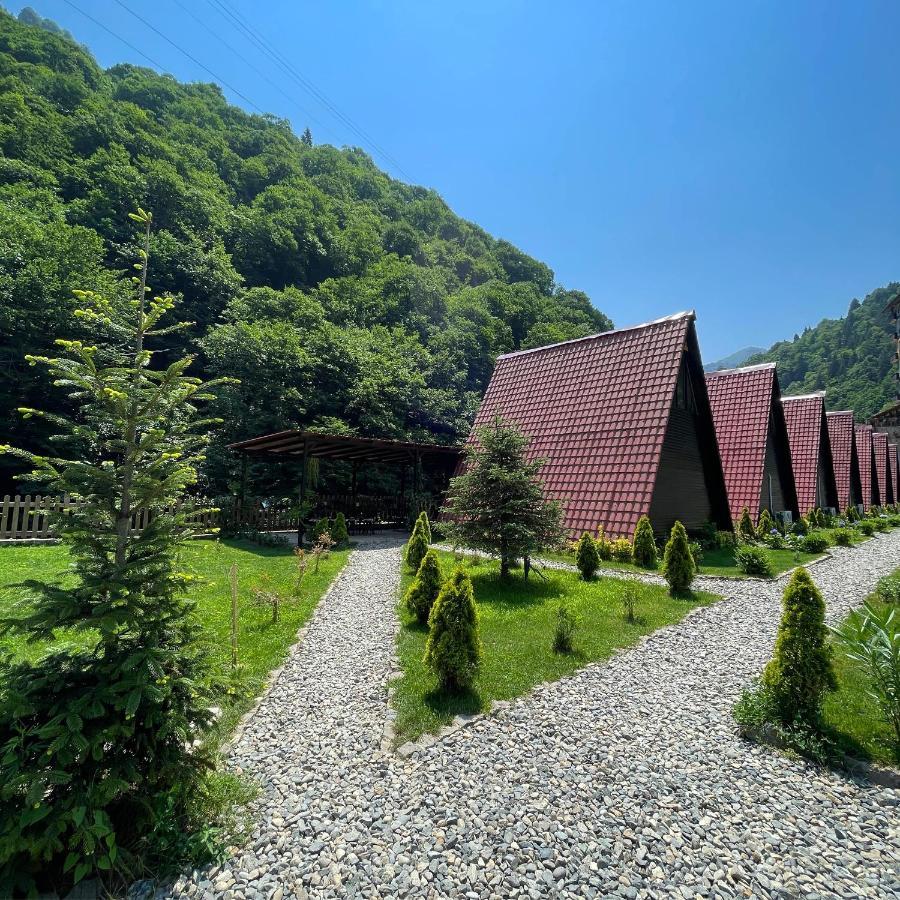Dream River Exclusive Bungalow Ριζούντα Εξωτερικό φωτογραφία