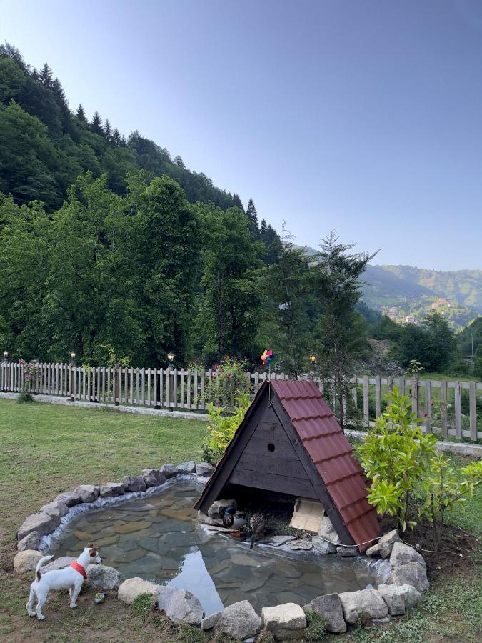 Dream River Exclusive Bungalow Ριζούντα Εξωτερικό φωτογραφία